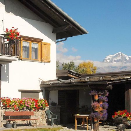 Agriturismo Plan D'Avie อาออสตา ภายนอก รูปภาพ