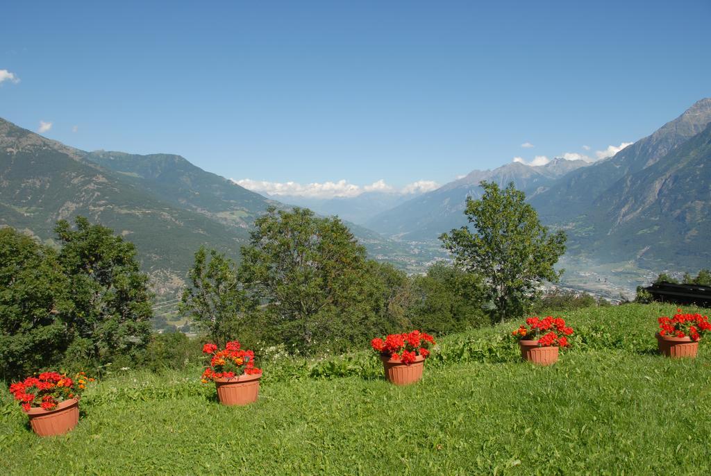 Agriturismo Plan D'Avie อาออสตา ภายนอก รูปภาพ