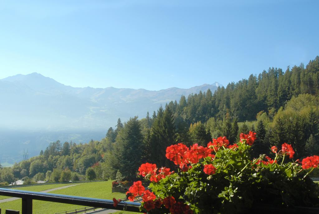 Agriturismo Plan D'Avie อาออสตา ห้อง รูปภาพ