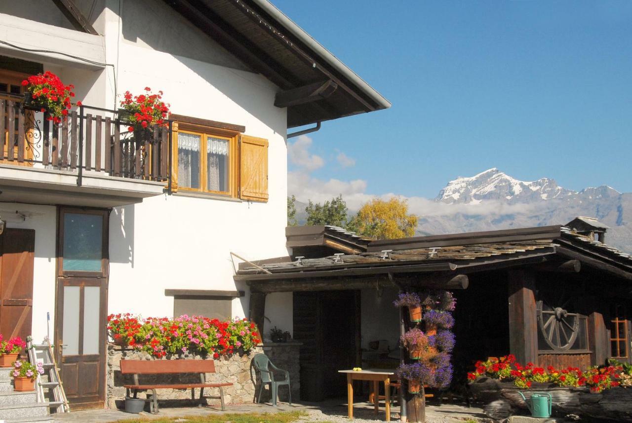 Agriturismo Plan D'Avie อาออสตา ภายนอก รูปภาพ
